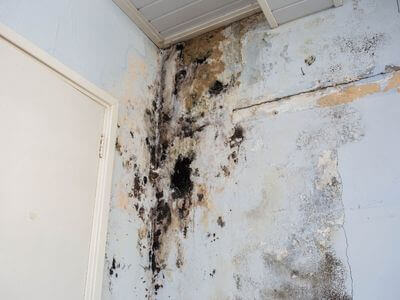 About Rockwall Water Damage Pros - water damage restoration experts in Rockwall